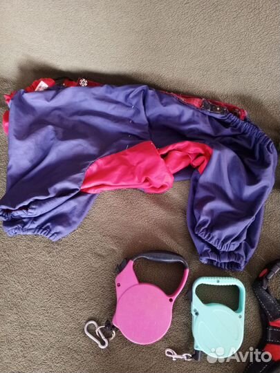 Товары для собак