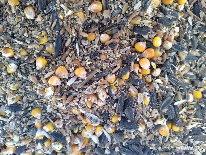 Зерносмесь комбикорм