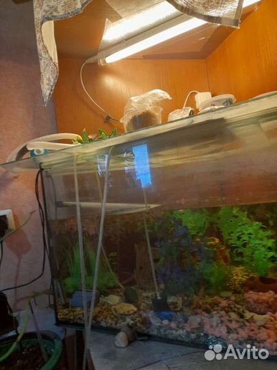 Аквариум