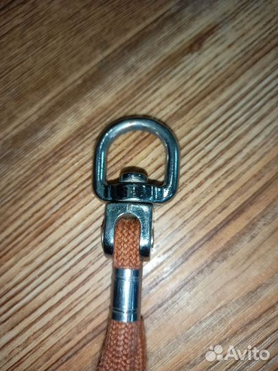 Амуниция и одежда для собак