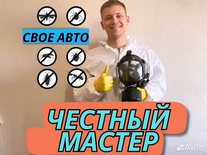 Уничтожение плесени, тараканов, блох. Дезинфекция