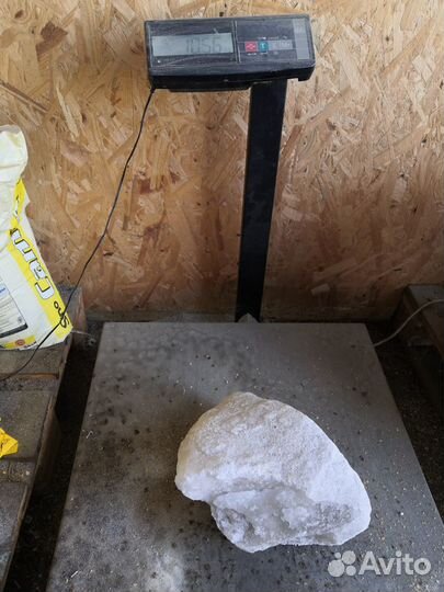 Соль лизунец