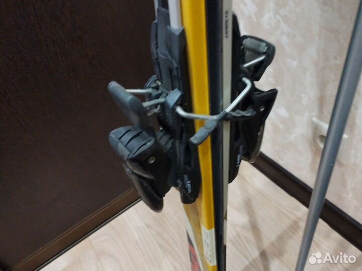 Горные лыжи