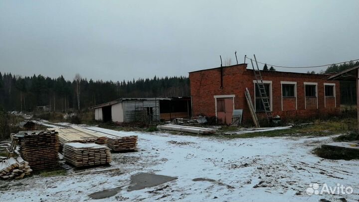 Продам деревоперерабатывающее производство