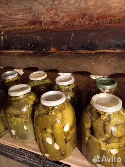 Огурцы соленые