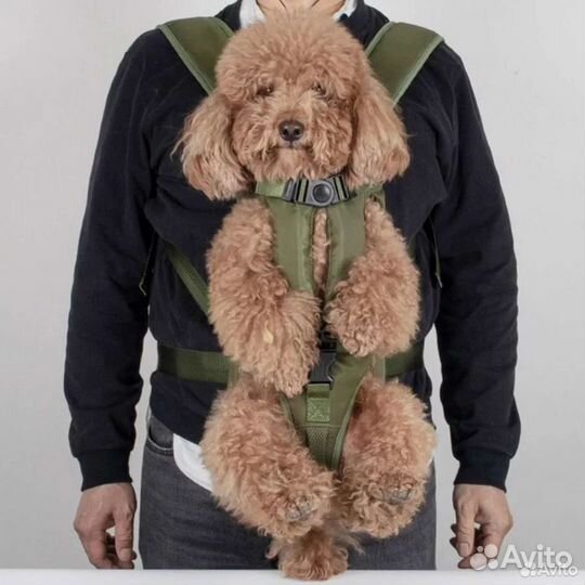 Рюкзак для собак красный