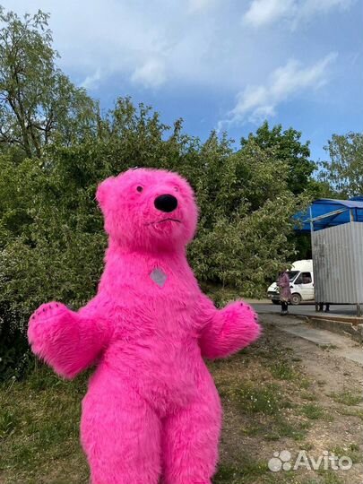 Аэро костюмы,ростовая кукла