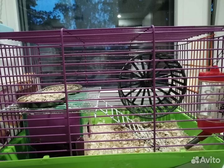 Кормушка для хомяка, опилки, клетка