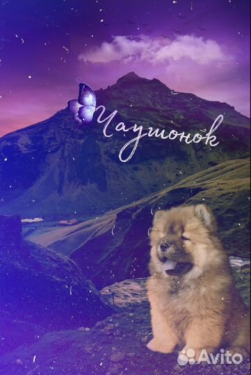 Делаю Обработки бесплатно