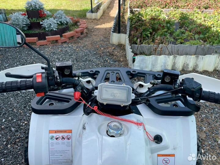 Квадроцикл Motoland Wild 125 Белый