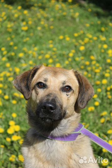 В надежде на самых лучших родителей