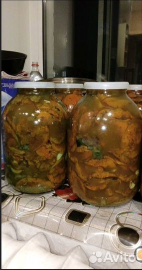 Рыжик боровой соленый холодный посол