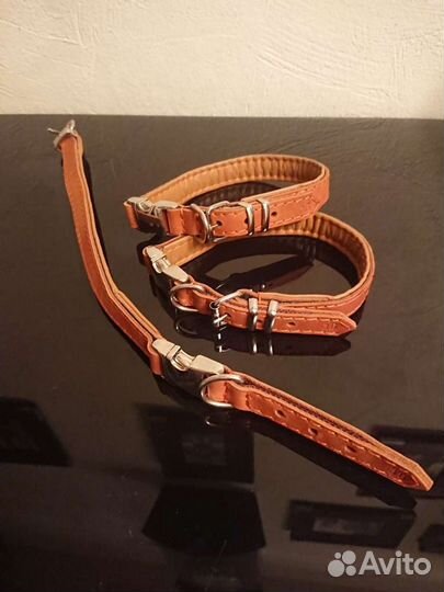 Кожаный ошейник