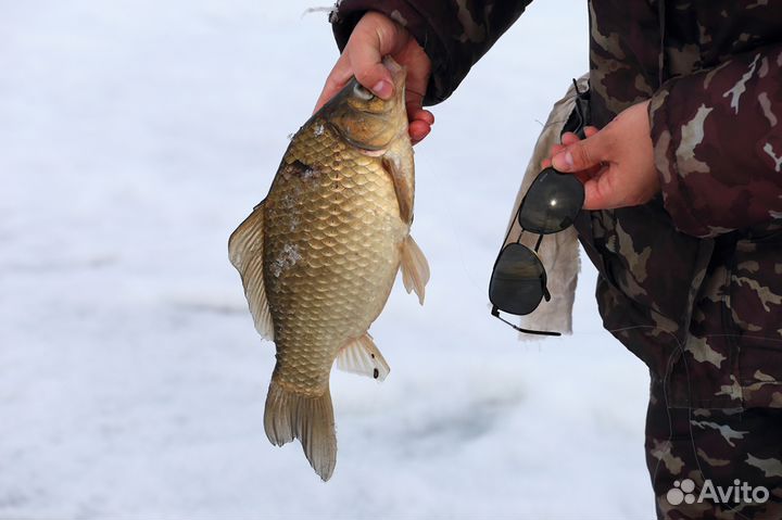 Фотографии для сайтов и интерьера