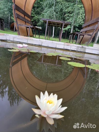 Аренда беседки с мангалом