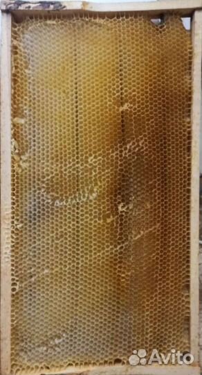 Пчелиные рамки сушь рут. и ульи