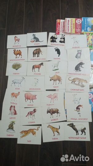 Развивающие книги пакетом