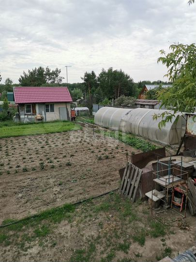 Участок 6,1 сот. (СНТ, ДНП)