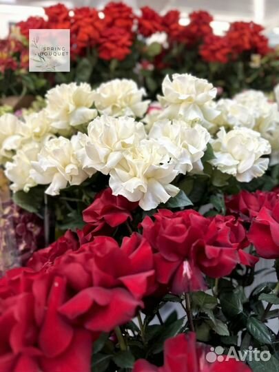 Тюльпаны с доставкой