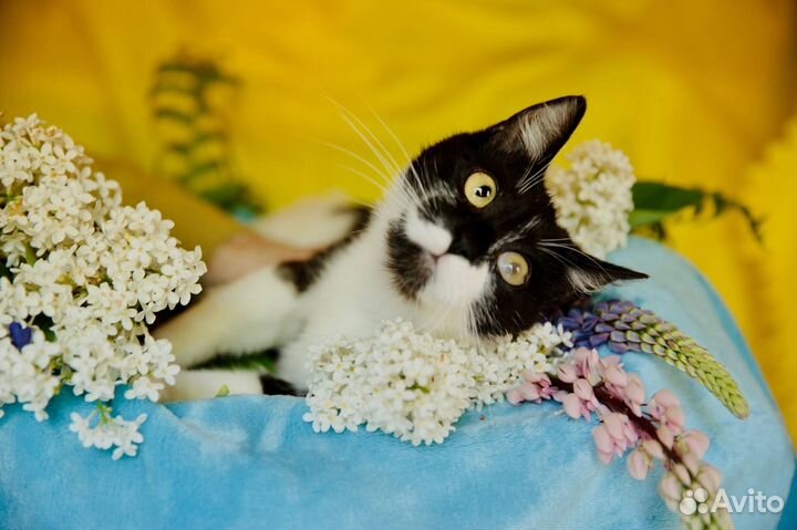 Люсенька подросток 6 месяцев