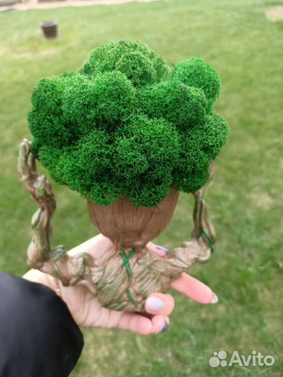Грут шапка из мха