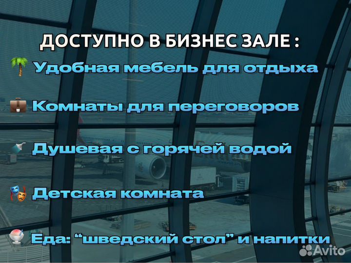 Проход в бизнес зал аэропорта Шереметьево