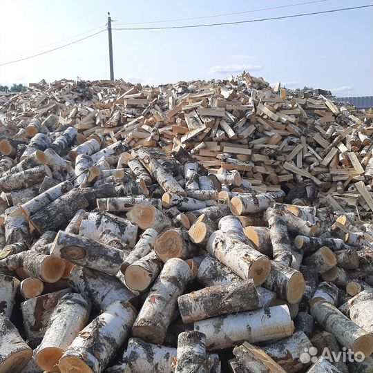 Дрова сухие
