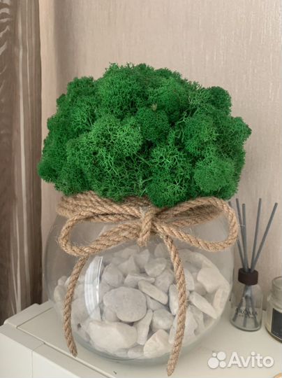 Кашпо со мхом