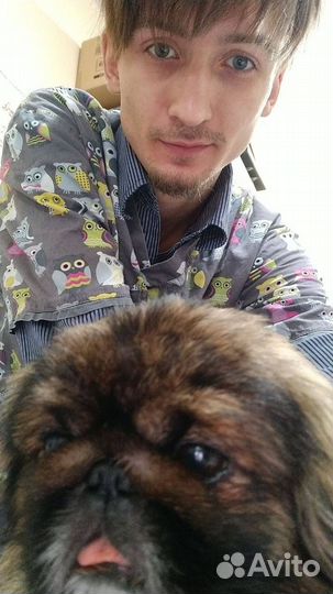 Ветеринарный врач / Выезд на дом