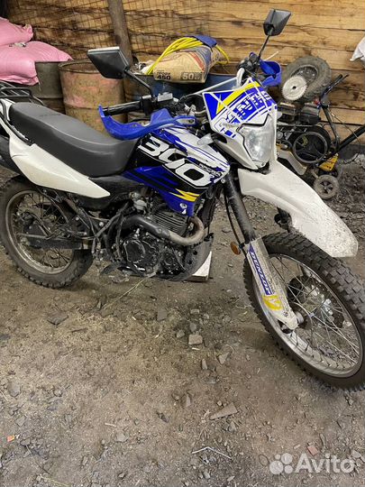 Рейсер Пантера 300