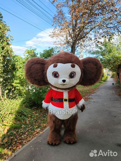 Костюм для поздравлений