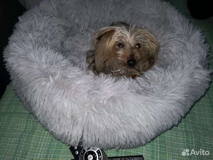 Кровать для домашних любимцев Сплюшка