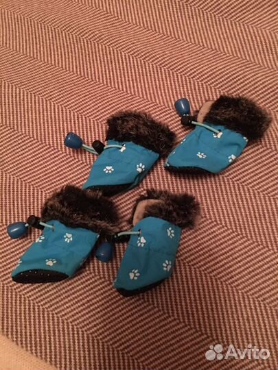 Обувь и одежда для собаки мелкой породы