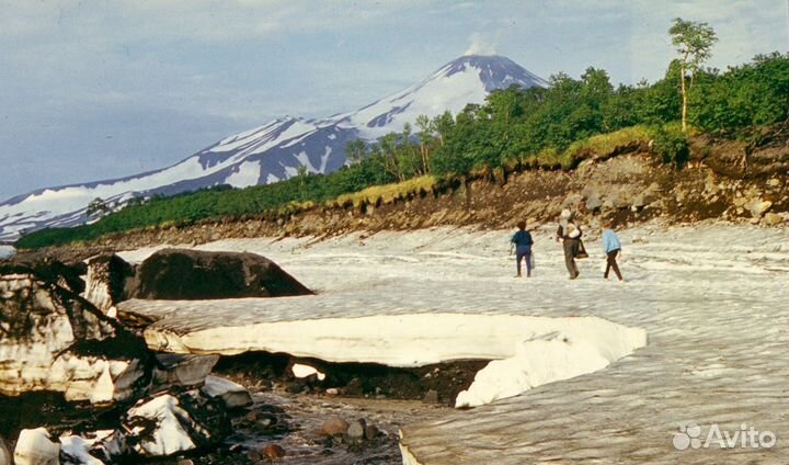 Сканер фото Microtek i700 с Digital ICE