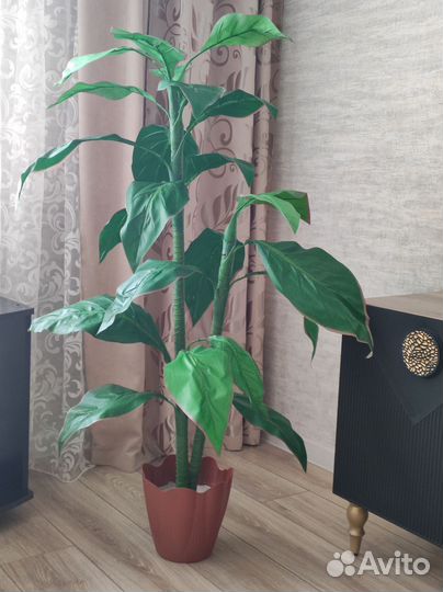 Искусственные растения для декора