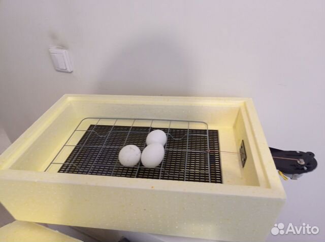 Инкубатор Золушка автомат вентилятор 28 яиц 220/12 объявление продам