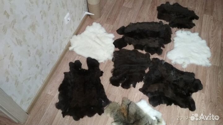 Шкурки кролика