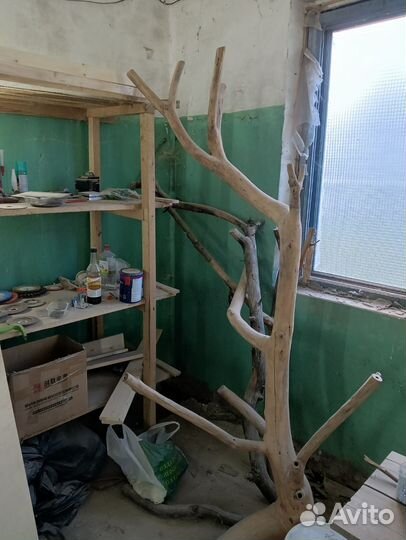 Ветки и коряги