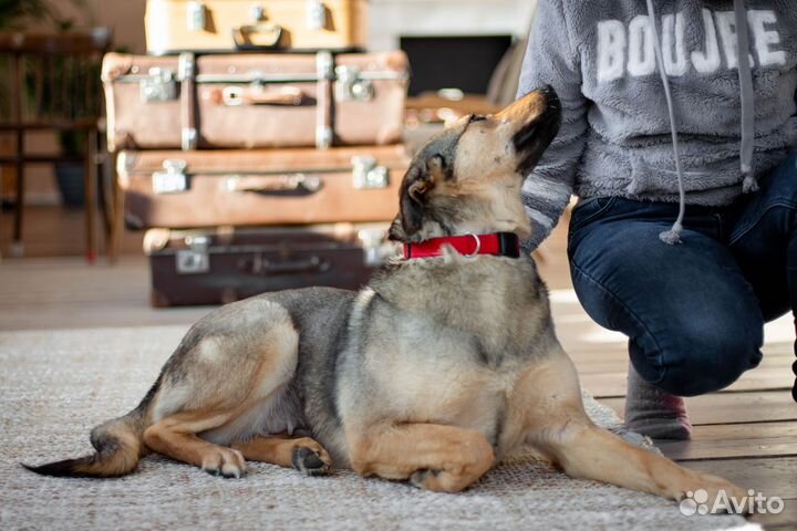 Муся ждёт свою семью