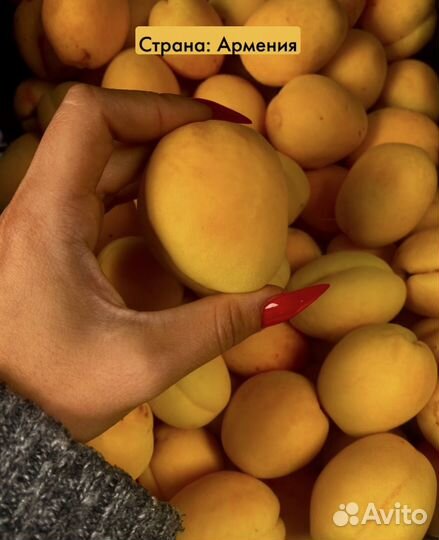 Свежие абрикосы / черешня / нектарин