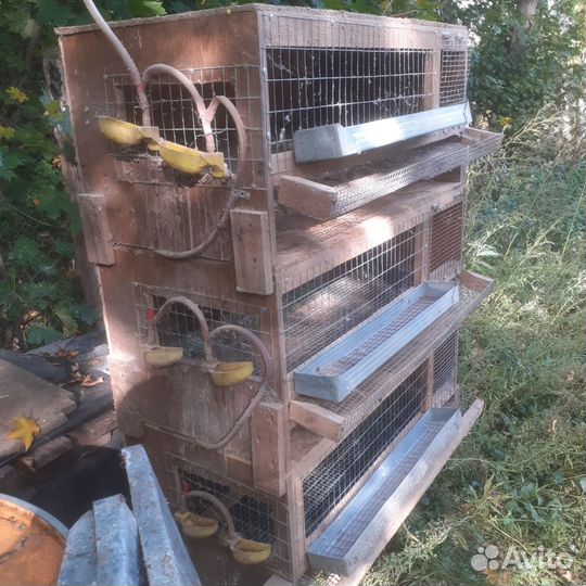 Клетки для перепелов