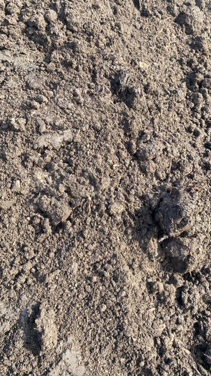 Участок 32 сот. (ИЖС)