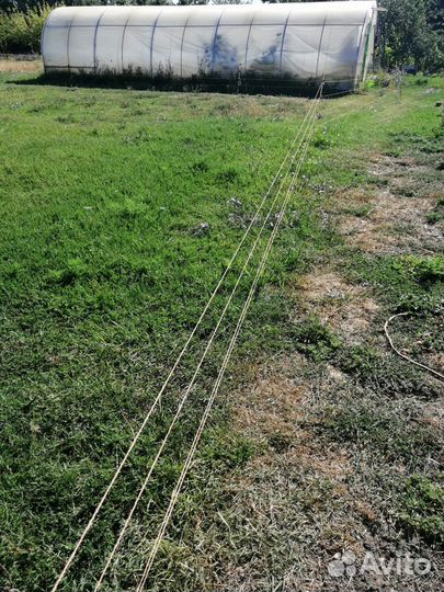 Электропастух