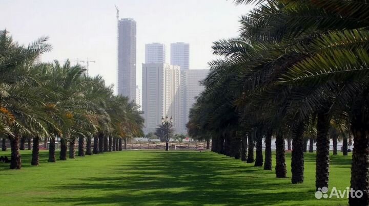 Путевка в Sharjah на 7 дней