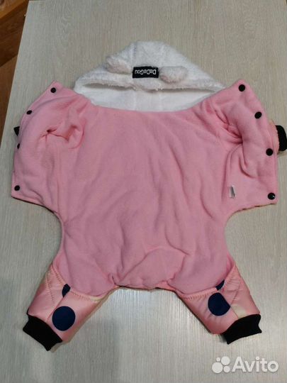 Одежда для собак