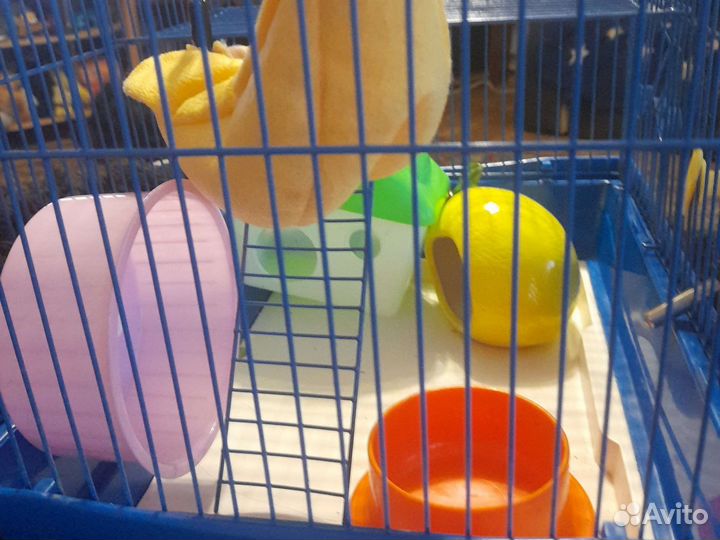 Клетка для грызунов