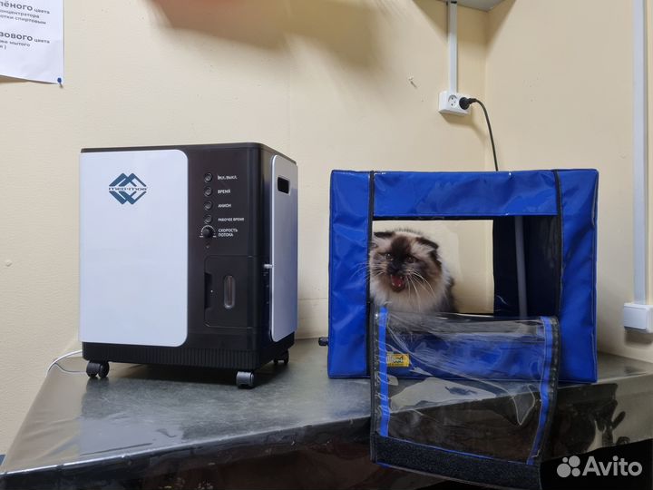 Кислородный концентратор + бокс для животных