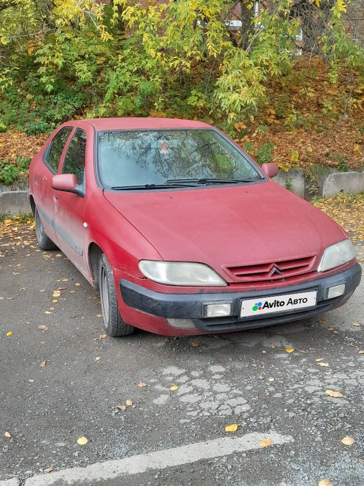 Citroen Xsara: фото из отзыва