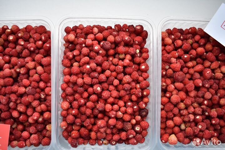 Замороженная земляника