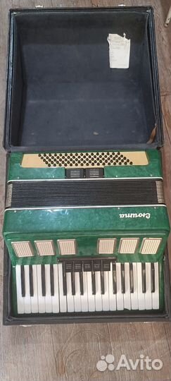 Аккордеон с чехлом